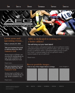 Athletic Enhancement Group,CMS Website, Database Website, Admin Driven Website, News System